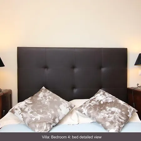 Dragoeiro فيلة *