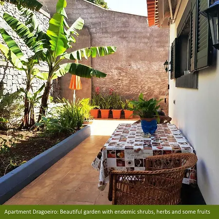 Villa Dragoeiro Nossa Senhora do Monte